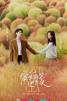 定制男友剧情
